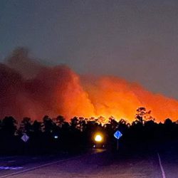 South Carolina Governor Declares State of Emergency in Response to Wildfires