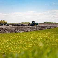 Prairie farmers can’t rotate crops on a dime, but tariffs leave them uncertain about what to do next